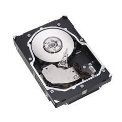 Hard disk Seagate ST3300655SS, 300 GB, SAS