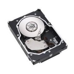 Hard disk Seagate ST3300655LC, 300 GB, SCSI