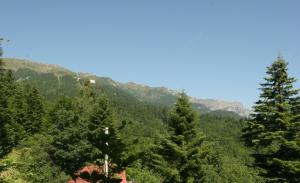 Teren de vanzare sinaia