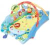Babys play place deluxe edition bright starts 9011