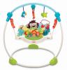 Precious Planet Jumperoo Fisher Price T2803 B340301