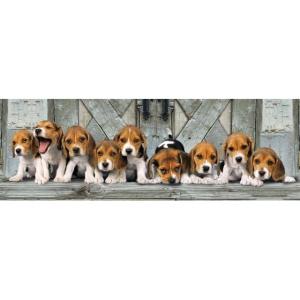 PUZZLE 1000 PIESE PANORAMIC - BEAGLES - 39076 Clementoni CL39076 B3907257