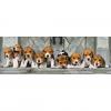 Puzzle 1000 piese panoramic - beagles - 39076 clementoni cl39076