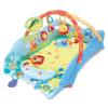 Baby&apos;s Play Place Deluxe Edition Bright Starts 9011