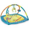 Hop Along Friends Play Gym Bright Starts 9012