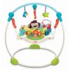 Precious planet jumperoo  fisher