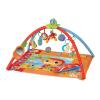Saltea pentru bebelusi - Saltea pentru bebelusi - MUSIC&MOTION ACTIVITY GYM MAT Step2 IN206-402 B3402695