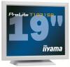 Monitor LCD IIYAMA PL T1931SR-W1