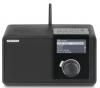 Multimedia player NOXON IRADIO 300, audio: MP3, WMA, AAC, AAC+, Wi-Fi (IEEE 802.11b/g), Boxa 10W