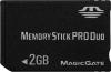 Memory stick pro duo 2g team