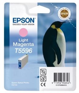 C13T559640 light magenta