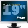 Monitor LCD 19&quot; Iiyama Pro Lite E1906S-S1, 1280x1024, 800:1, 250cd/m2, 5ms, DVI, silver