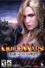 Pc-games, guild wars eye of the