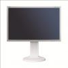 Monitor LCD NEC MultiSync E222W