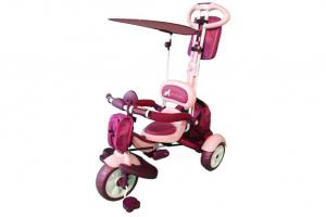 Tricicleta Pentru Copii MyKids Happy Trip KR03B Roz