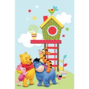 Covor pentru copii Baby Pooh 160x230 cm Model 410 - Disney