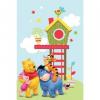 Covor pentru copii baby pooh 160x230 cm model 410 -