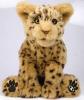 Leopard alive - wow wee - wowwee