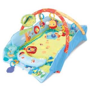 Baby's Play Place Deluxe Edition - Bright Starts