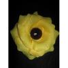 Elastic par cu floare din material textil galben