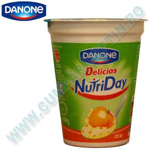 Iaurt caise Delicios NutriDay Danone 400 gr
