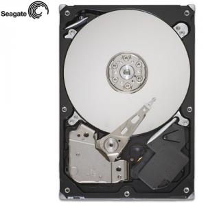Hard Disk Seagate ST31000340NS  1 TB  SATA2