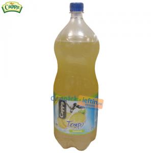 Suc de ananas Cappy Tempo 2 L
