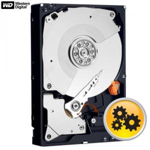 Hard Disk Western Digital RE4 WD2503ABYX  250 GB  S-ATA 2
