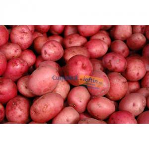 Cartofi rosii kilogram