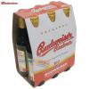 Bere budweiser pack 6 sticle x 330 ml