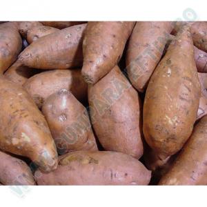 Cartofi dulci 1 kg