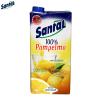 Suc natural de grapefruit 100% Santal 2 L