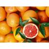 Grapefruit rosu kilogram