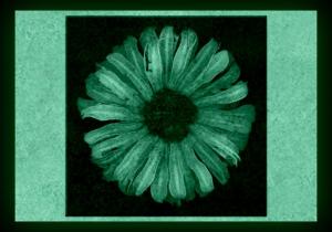 Tablou fosforescent﻿ Floarea soarelui abstract
