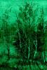Tablou fosforescent inca verde
