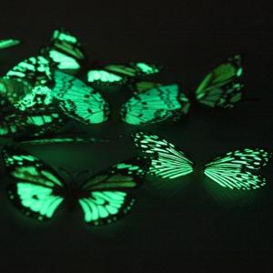 Fluture fosforescent magnet decorativ