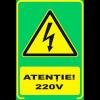 Semn fosforescent atentie 220 volti