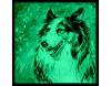 Tablou fosforescent collie