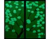 Set tablou fosforescent cires