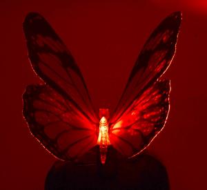Lampa solara - Fluture cu lumina in 7 culori