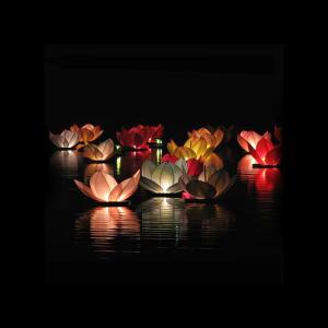 Pachet 6 lampioane plutitoare floare Lotus