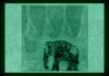 Tablou fosforescent elefant feng