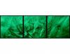Set tablou fosforescent papadie