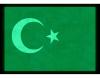 Tablou fosforescent steag turcia