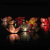 Lampioane plutitoare floare lotus