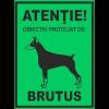 Semn fosforescent obiectiv protejat de brutus