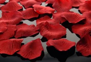 Petale trandafiri artificiale rosii - 500buc / set