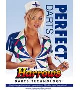 Perfect darts poster