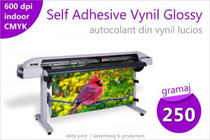 Print indoor pe autocolant