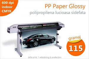 Printuri indoor pe polipropilena lucioasa sidefata (PP Paper Glossy) BS-170GN
